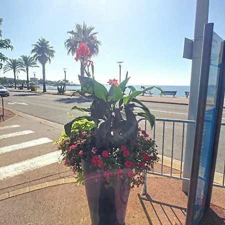 Port Immo Lido Rialto Cote D'azur 아파트 케인즈수르메르